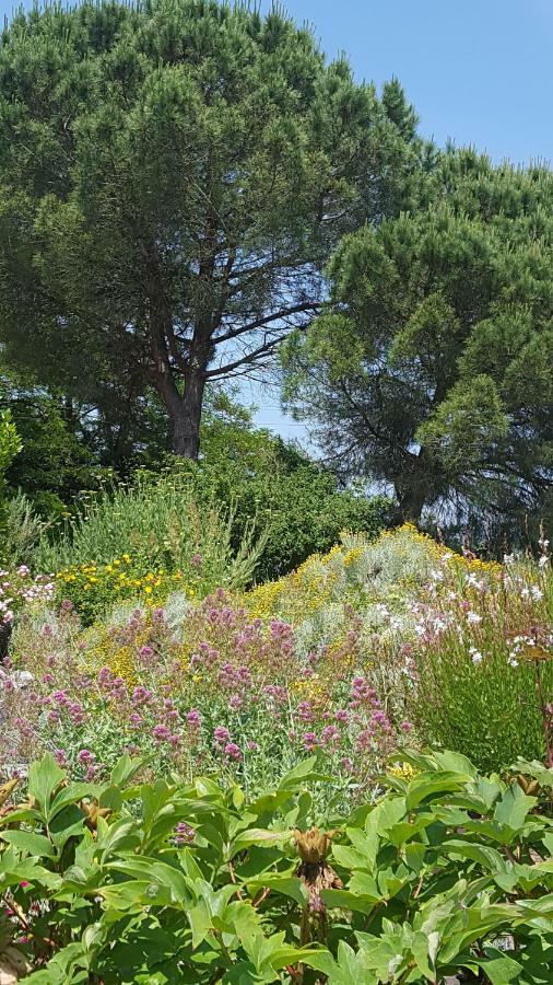 Au calme chez l'habitant Foulayronnes Extérieur photo